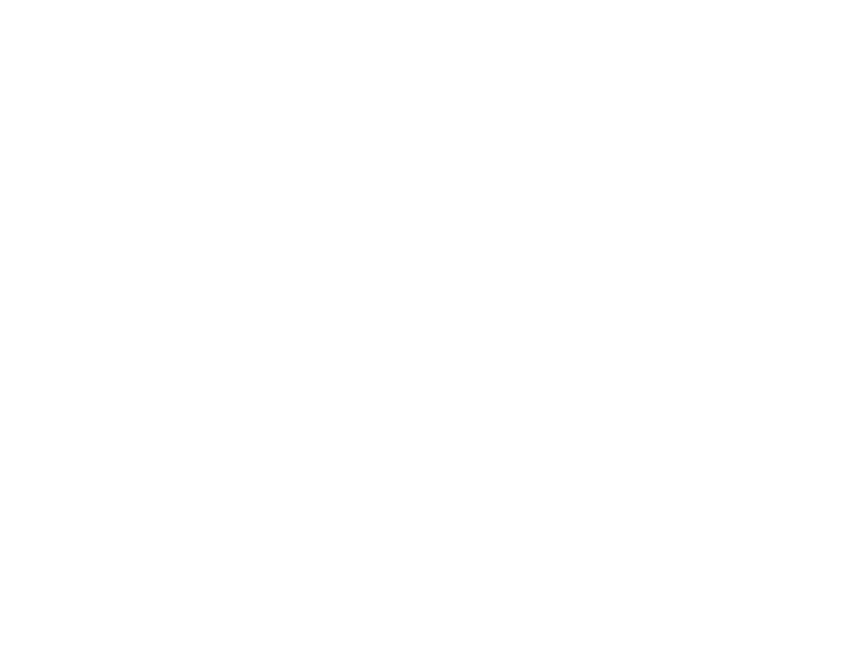Pro4Ex Consulting